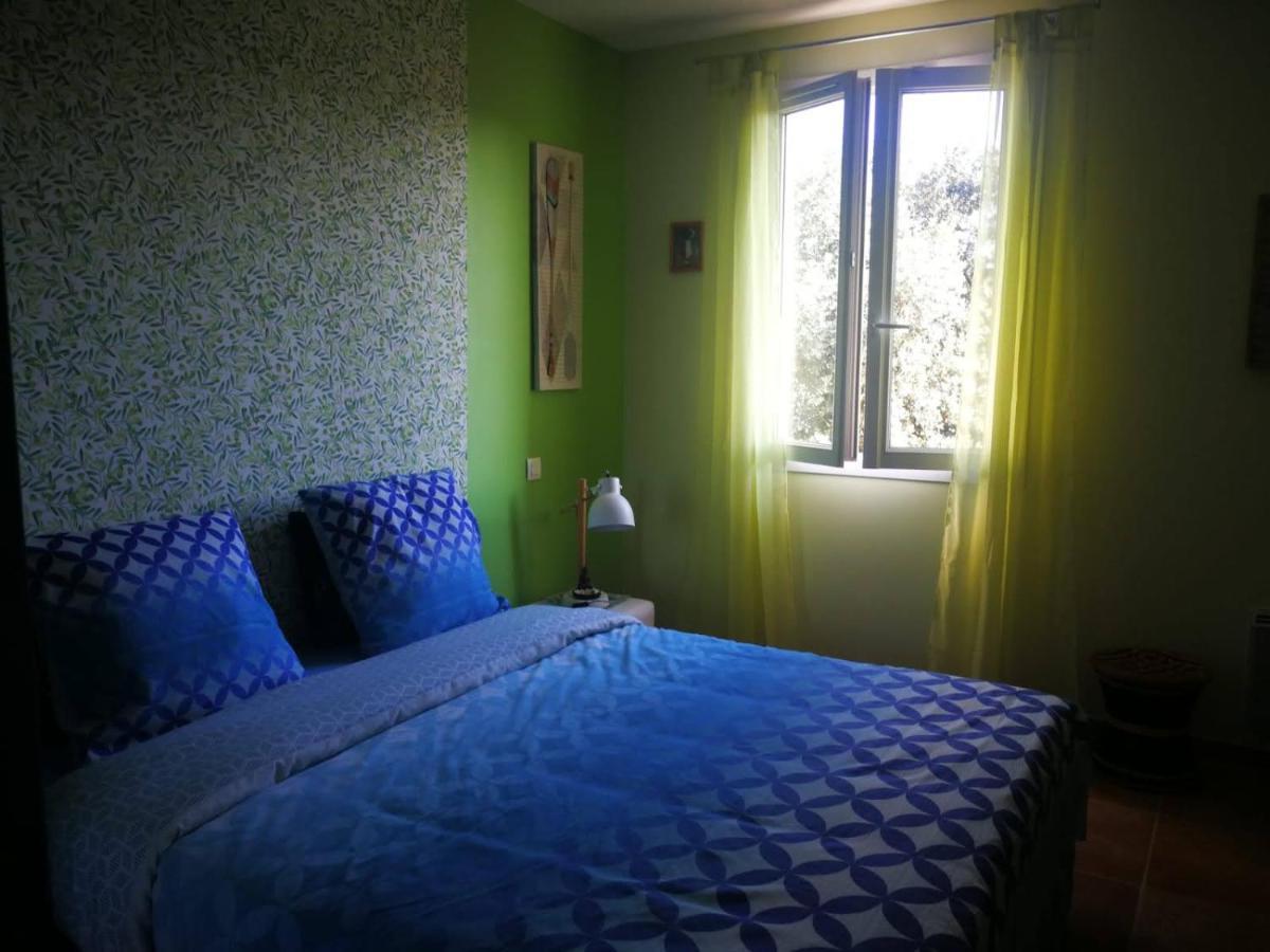 Chambre Cosy Nîmes Buitenkant foto